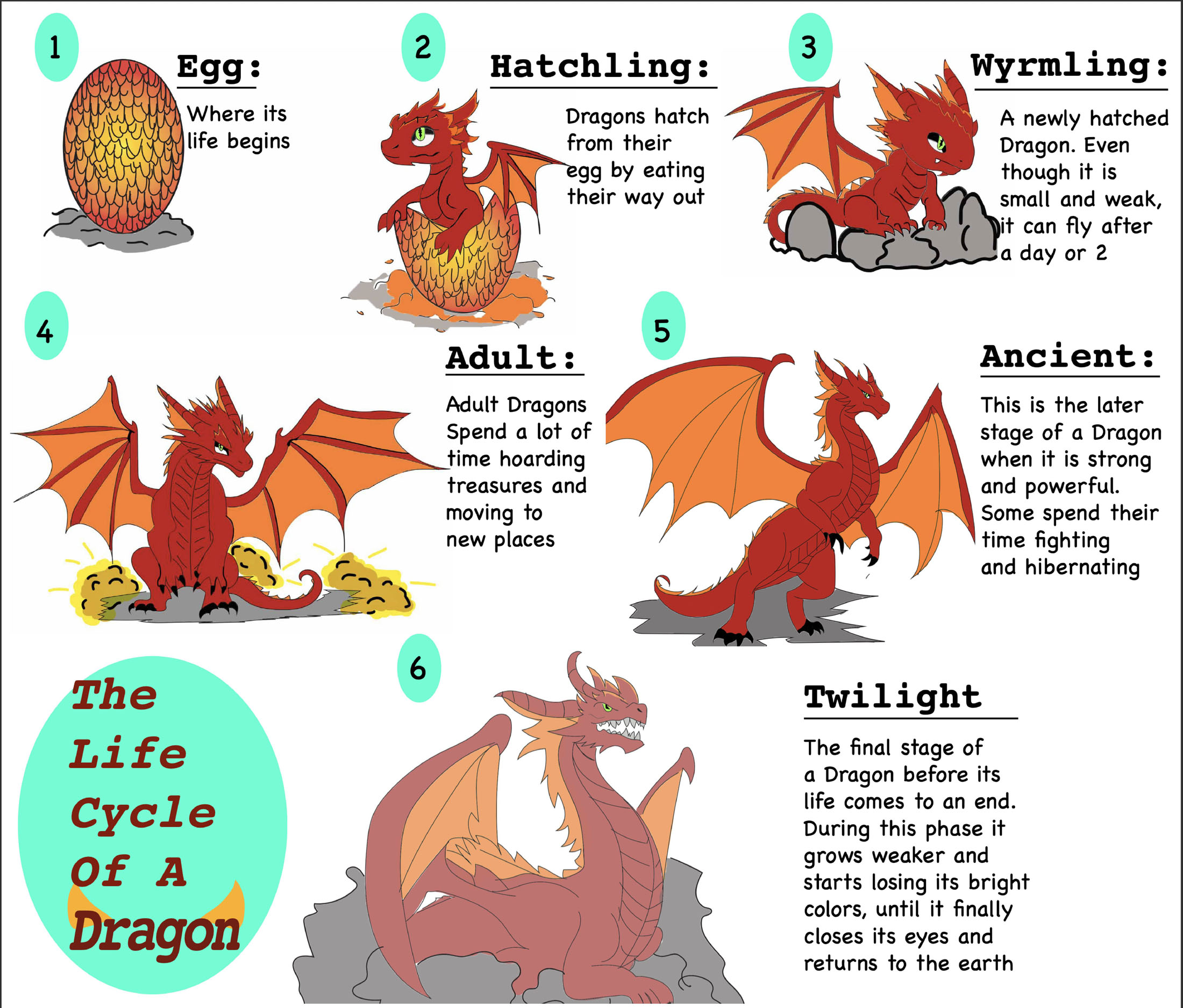 Danielle Dale — Life Cycle of A Dragon