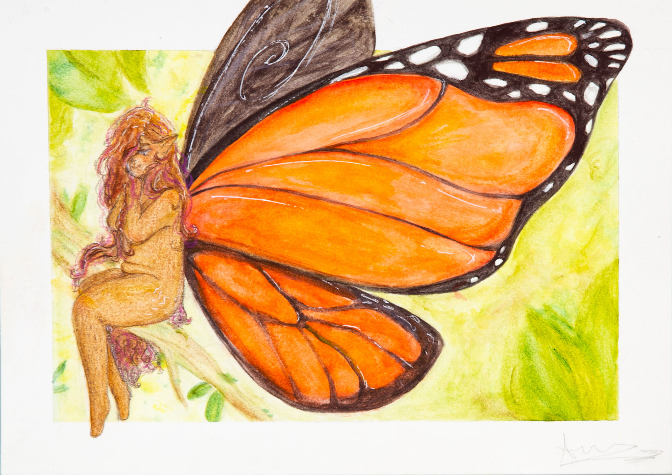 Arrow Austin — Monarch