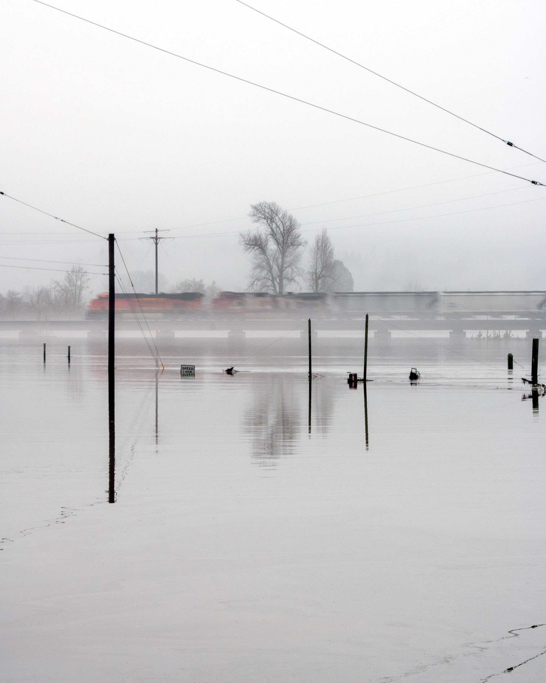 Victoria Roos — Flood Train